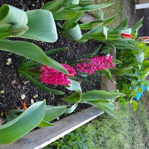 Meet your Posher, Ben